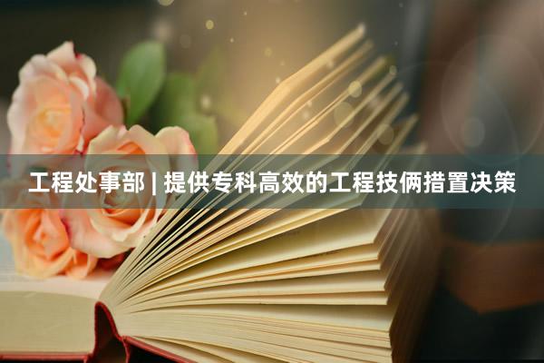 工程处事部 | 提供专科高效的工程技俩措置决策