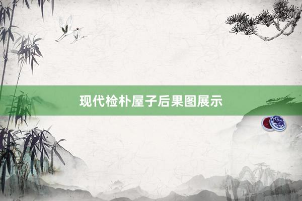 现代检朴屋子后果图展示